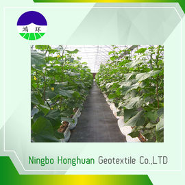 Black Anti - Weed 100gsm Split Film Woven Geotextile Fabric Polypropylene
